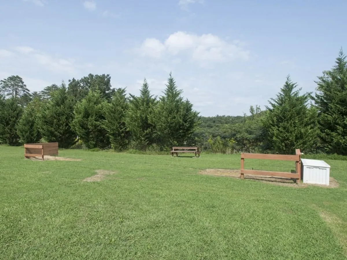 A grassy outdoor area with wooden benches and trees offers a tranquil space for relaxing, picnicking, or taking in the fresh air. The peaceful mood and open layout make it ideal for all ages and abilities.
